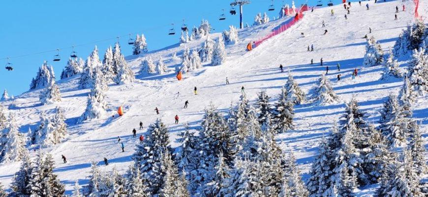 Woodside Woodside Apartments Kopaonik Free Parking & Spa , Free Ski Locker Zewnętrze zdjęcie