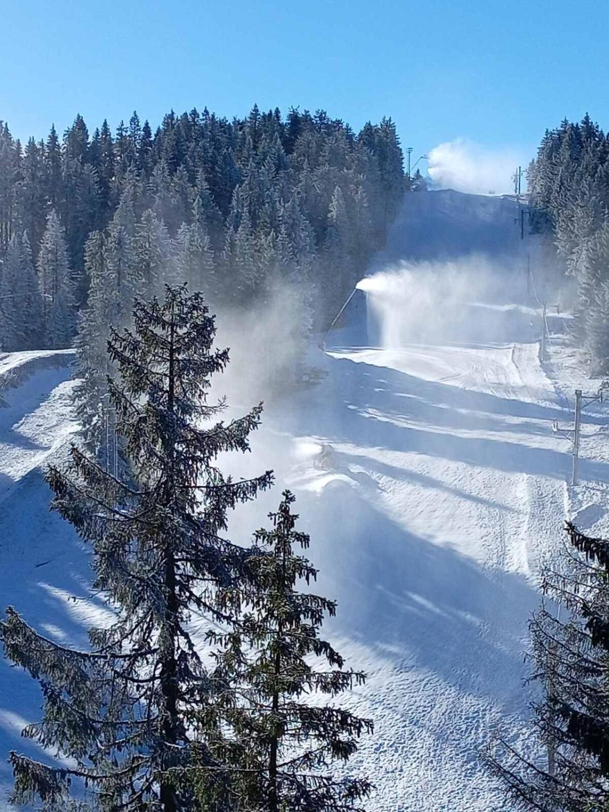 Woodside Woodside Apartments Kopaonik Free Parking & Spa , Free Ski Locker Zewnętrze zdjęcie